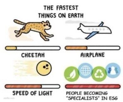 Fastest Things On Earth - ESG Consultants