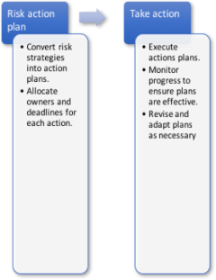 Risk address plan-action